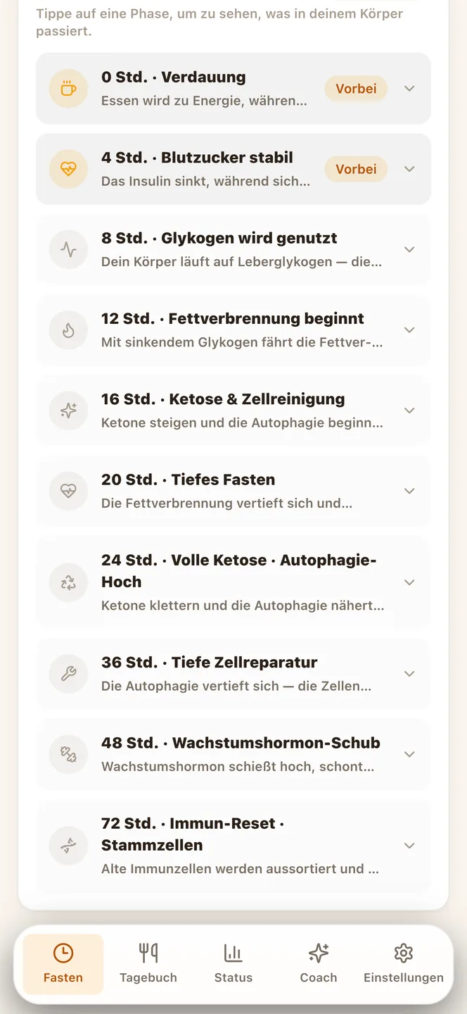 Was in jeder Fastenphase passiert