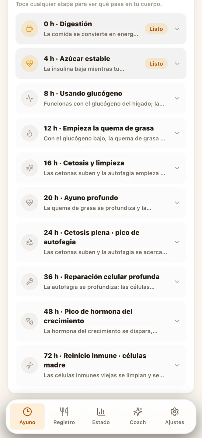 Qué ocurre en cada etapa del ayuno